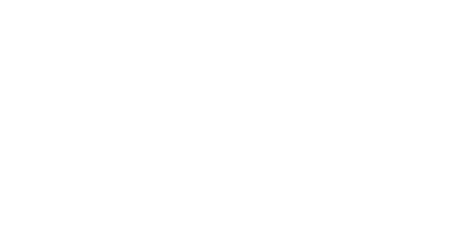 DELTA TRADE SOLUTIONS